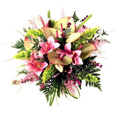 Kwiaty Lila-rÃ³Å¼