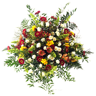 Kwiaty Jesienne Oczarowanie