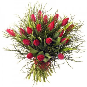 Kwiaty Barwy MiÅoÅci