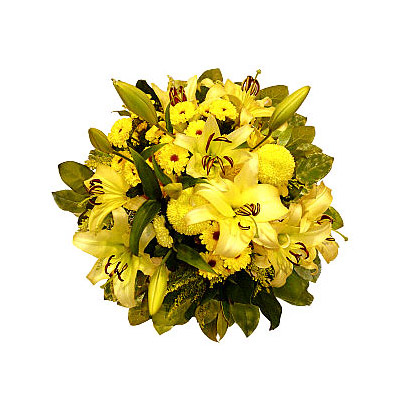 Kwiaty Nasze Miodowe SzaleÅstwo