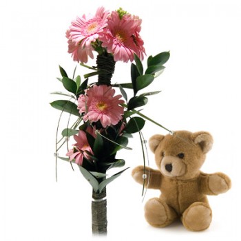 Kwiaty Gerberowa Przytulanka