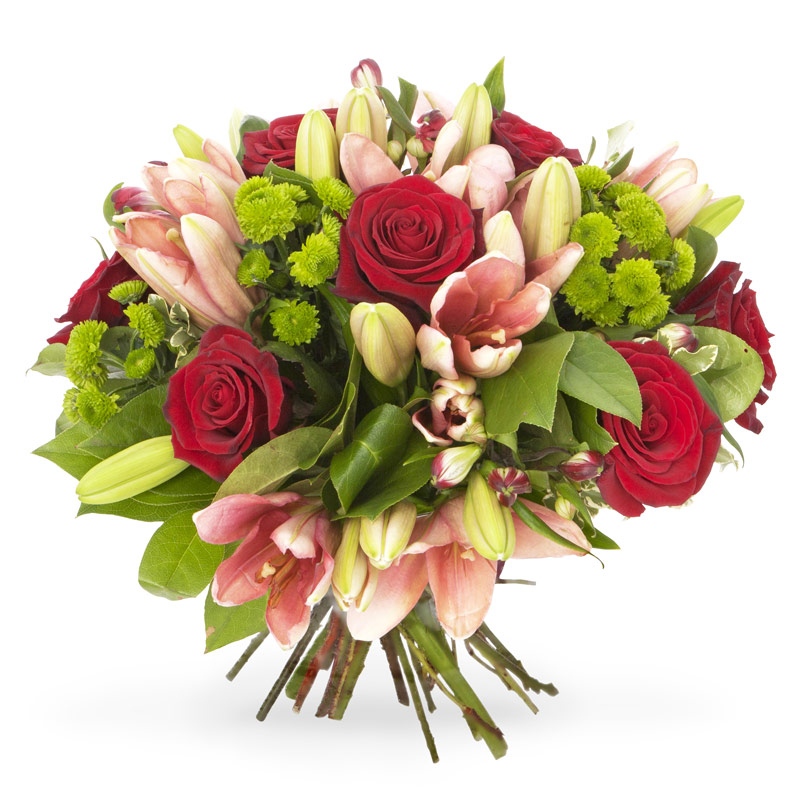 Kwiaty jak SÅoneczny PocaÅunek