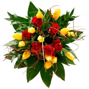 Kwiaty Zwiastun Wiosny