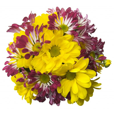 Kwiaty Pogodny dzieÅ