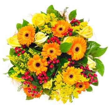 Kwiaty Nasze Jesienne SzaleÅstwo