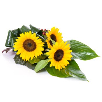 Bukiet z 3 sÅonecznikÃ³w