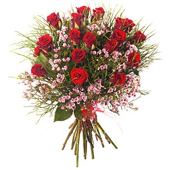 Kwiaty ChcÄ Ci powiedzieÄ...