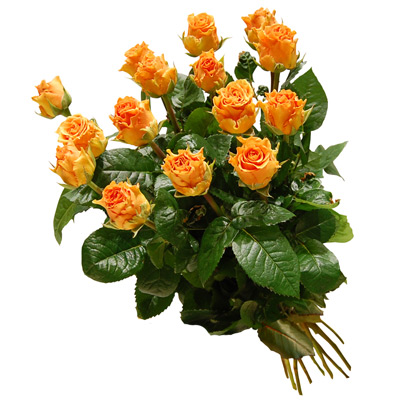 15 herbacianych rÃ³Å¼