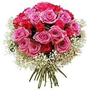 RÃ³Å¼any ogrÃ³d