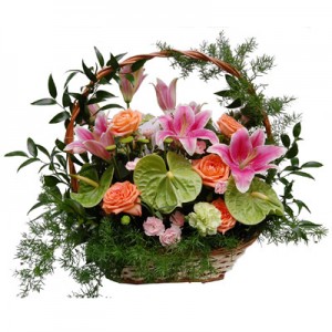 Kosz SpeÅnione Marzenia