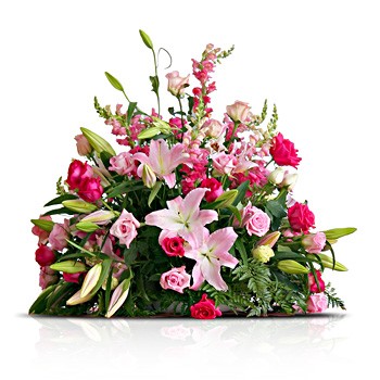 Kompozycja Ålubna